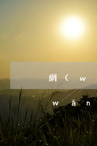 網(wǎng)貸逾期過車貸容易過嗎(網(wǎng)貸逾期貸款買車有影響嗎)