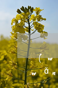 網(wǎng)貸逾期違約金百分之一(網(wǎng)貸違約金一般是多少)