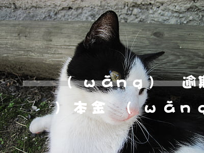 網(wǎng)貸逾期違約金超過(guò)本金(網(wǎng)貸逾期違約金一般百分之多少)