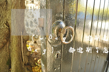 網(wǎng)貸逾期遭威脅怎么辦(網(wǎng)貸都逾期了怎么正確處理)