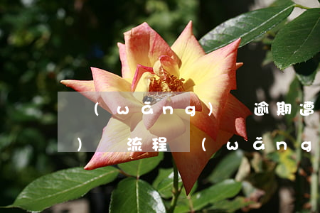 網(wǎng)貸逾期遭起訴應(yīng)訴流程(網(wǎng)貸逾期被起訴立案后怎么解決)