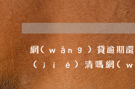 網(wǎng)貸逾期還上后會馬上顯示結(jié)清嗎(網(wǎng)貸逾期,還上后,會馬上顯示結(jié)清嗎)