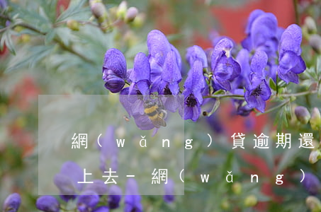 網(wǎng)貸逾期還上后芝麻分多久漲上去-網(wǎng)貸逾期芝麻記錄多久會消除