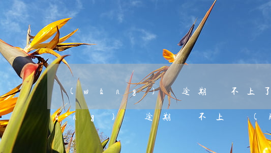 網(wǎng)貸逾期還不上了后果(網(wǎng)貸逾期還不上會(huì)有什么后果)