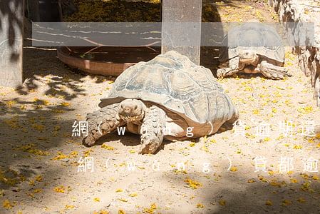 網(wǎng)貸逾期還不上如何辦(所有的網(wǎng)貸都逾期了,還不上怎么辦?)