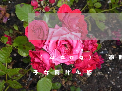 網(wǎng)貸逾期還不上對(duì)子女有什么影響-網(wǎng)貸欠多少會(huì)坐牢