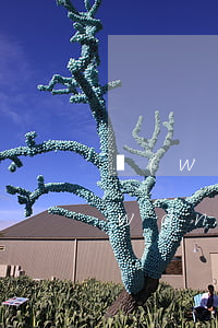 網(wǎng)貸逾期還不上有啥后果(網(wǎng)貸逾期還不上會有什么后果)