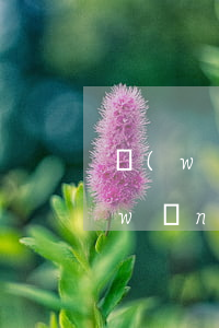網(wǎng)貸逾期還不上能否反訴(網(wǎng)貸逾期還不了款怎么辦)