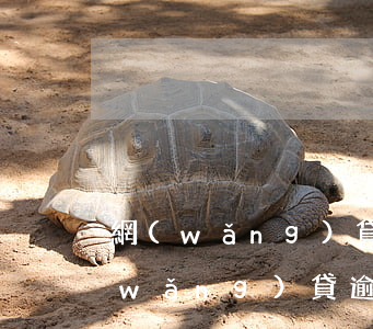 網(wǎng)貸逾期還不上要離婚嗎(網(wǎng)貸逾期還能貸款嗎)