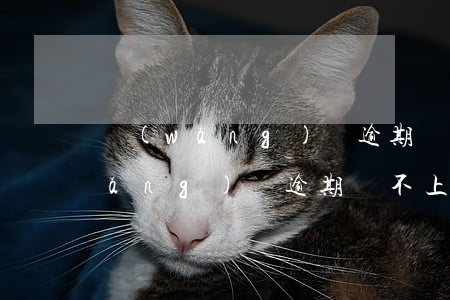網(wǎng)貸逾期還不上這么辦(網(wǎng)貸逾期還不上會有什么后果)