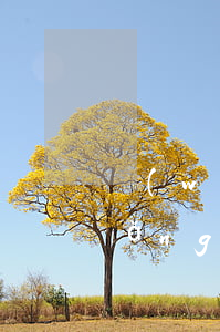 網(wǎng)貸逾期還不了怎么辦(網(wǎng)貸逾期怎么還不了怎么辦)