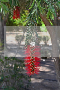 網(wǎng)貸逾期還不了款怎么辦-網(wǎng)貸逾期還不了款怎么辦呢