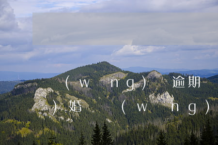 網(wǎng)貸逾期還不了能結(jié)婚嗎(網(wǎng)貸逾期還能不能貸)