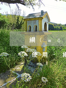 網(wǎng)貸逾期還了什么時候能正常使用-網(wǎng)貸逾期還了什么時候能正常使用了