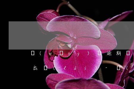 網(wǎng)貸逾期還了后多久可以再貸出來(lái)-網(wǎng)貸逾期還了后多久可以再貸出來(lái)呢