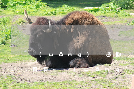 網(wǎng)貸逾期還了多久后可以辦信用卡-網(wǎng)貸逾期還了多久后可以辦信用卡了