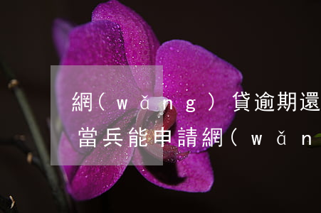 網(wǎng)貸逾期還了能當兵嗎(在部隊當兵能申請網(wǎng)貸嗎)