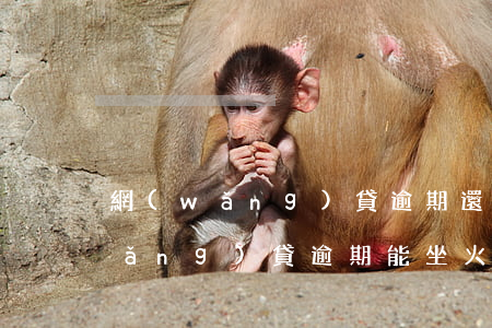 網(wǎng)貸逾期還可以坐車嗎(網(wǎng)貸逾期能坐火車嗎)