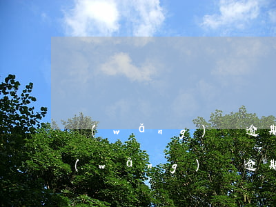 網(wǎng)貸逾期還完之后還能借嗎（網(wǎng)貸逾期后期還上了）