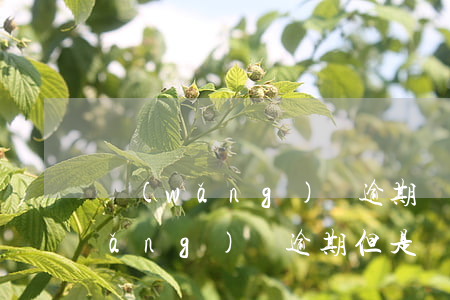 網(wǎng)貸逾期還完了多久清(網(wǎng)貸逾期但是還清了)