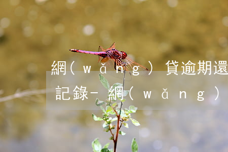 網(wǎng)貸逾期還完了怎么消除逾期記錄-網(wǎng)貸逾期還完了怎么消除逾期記錄呢