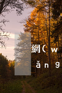 網(wǎng)貸逾期還完可以車貸(網(wǎng)貸逾期會(huì)不會(huì)收車)