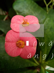 網(wǎng)貸逾期還完還能貸嗎(網(wǎng)貸逾期了還能網(wǎng)貸嗎)
