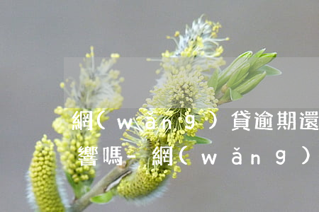 網(wǎng)貸逾期還對申請信用卡有影響嗎-網(wǎng)貸逾期對辦理信用卡有影響嗎