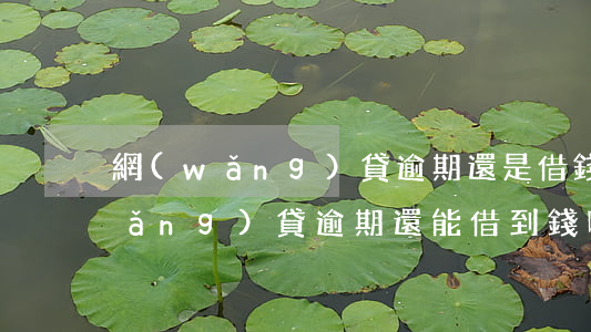 網(wǎng)貸逾期還是借錢還錢(網(wǎng)貸逾期還能借到錢嗎)