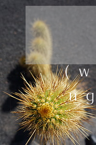 網(wǎng)貸逾期還會自動扣款(網(wǎng)貸逾期但是還清了)