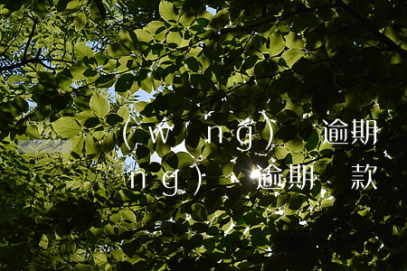 網(wǎng)貸逾期還本打折本金(網(wǎng)貸逾期還款)