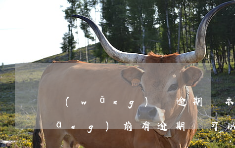 網(wǎng)貸逾期還本金能信嗎(當(dāng)前有逾期還可以借的網(wǎng)貸有沒(méi)有?)