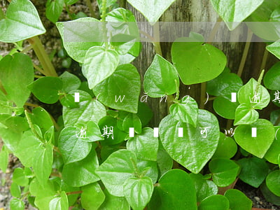 網(wǎng)貸逾期還款后有憑證嗎(有過逾期記錄還可以網(wǎng)貸嗎)