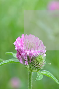 網(wǎng)貸逾期還款正確方法