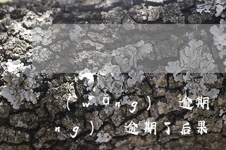 網(wǎng)貸逾期還款的后果 網(wǎng)貸逾期了后果嚴(yán)重嗎?