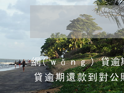 網(wǎng)貸 逾期還款(網(wǎng)貸逾期還款到對公賬戶可信嗎)