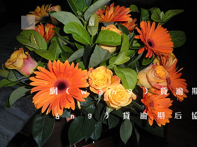 網(wǎng)貸逾期還款處理方案(網(wǎng)貸逾期后協(xié)商還款的流程)