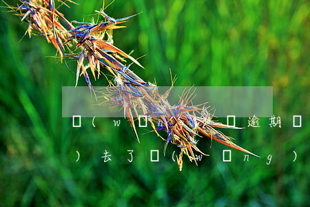 網(wǎng)貸逾期還款還不進(jìn)去了(網(wǎng)貸逾期還款還不進(jìn)去了)