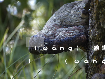 網(wǎng)貸逾期還款需要協(xié)議嗎(網(wǎng)貸逾期了還了之后還能借么)