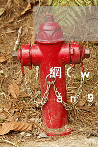 網(wǎng)貸逾期還沒收到傳票(網(wǎng)貸逾期收到通知函怎么辦)