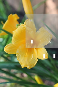 網(wǎng)貸逾期還清了征信復(fù)議(網(wǎng)貸逾期征信不好如何恢復(fù)征信)
