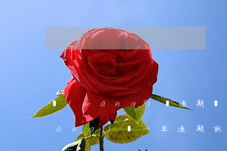 網(wǎng)貸逾期還清后注銷嗎(網(wǎng)貸一旦逾期就別想還清了)