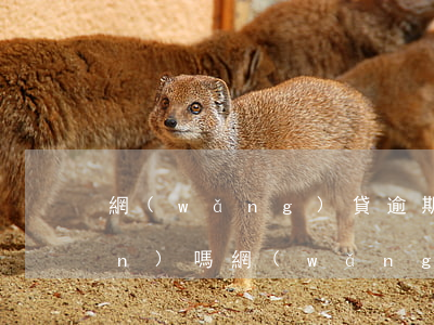 網(wǎng)貸逾期還能交五險(xiǎn)嗎，網(wǎng)貸逾期是否會(huì)影響繳納五險(xiǎn)？