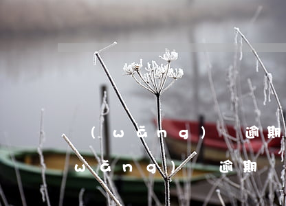 網(wǎng)貸逾期還能保住工作嗎(網(wǎng)貸逾期擔(dān)保人會怎樣)