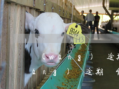 網(wǎng)貸逾期還能借714(網(wǎng)貸逾期還能借別的平臺么)