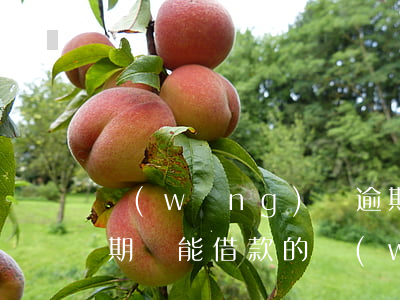 網(wǎng)貸逾期還能借款app(有逾期還能借款的網(wǎng)貸)