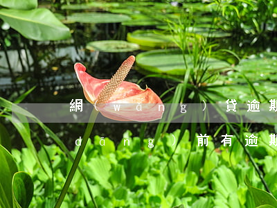 網(wǎng)貸逾期還能借款的平臺(當(dāng)前有逾期還可以借的網(wǎng)貸有沒有?)