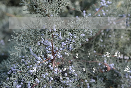 網(wǎng)貸逾期還能做飛機(jī)么(網(wǎng)貸逾期還能做飛機(jī)么)