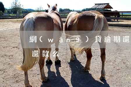 網(wǎng)貸逾期還能協(xié)商還款么