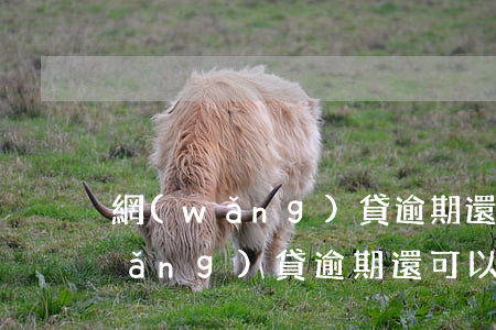 網(wǎng)貸逾期還能坐高鐵么(網(wǎng)貸逾期還可以坐高鐵嗎)